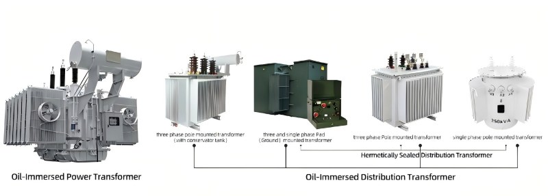 Oil-Immersed Type Transformer